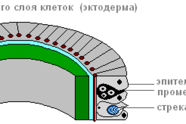 Кракен даркнет рабочая ссылка